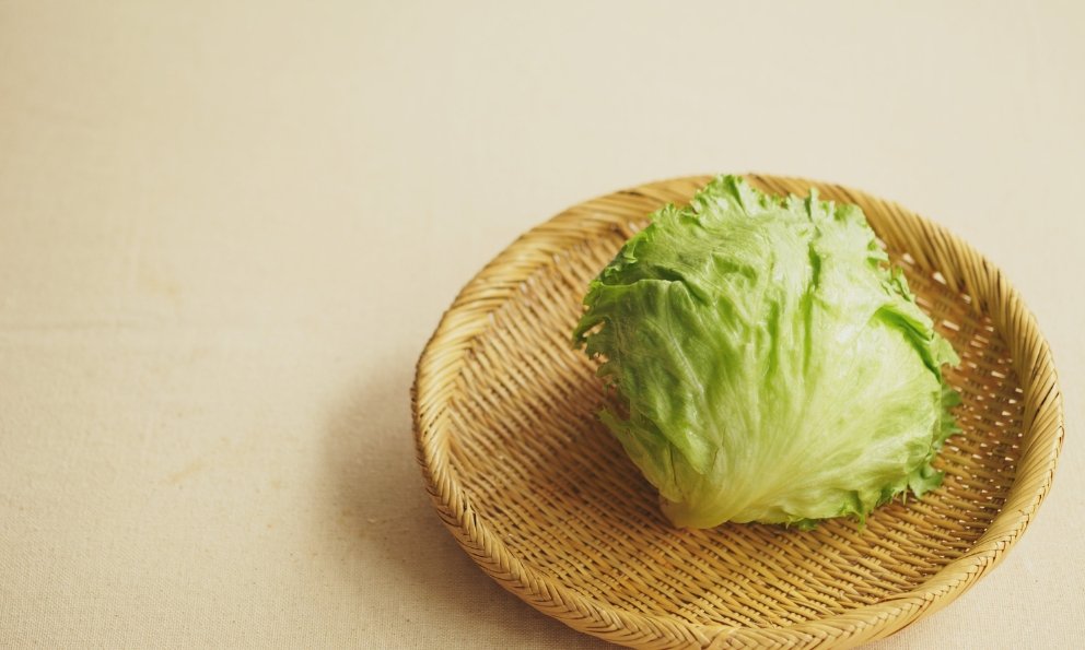 EE.UU. da por terminado histórico brote de ciclosporiasis ligado a lechuga mexicana